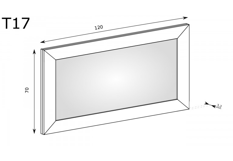 Lustro Tadeusz T-17