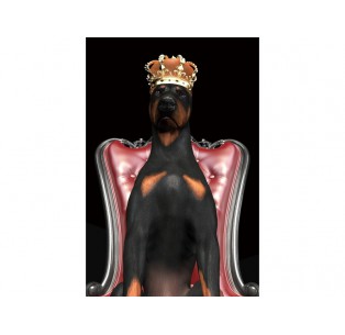 Obraz Dog in Crown