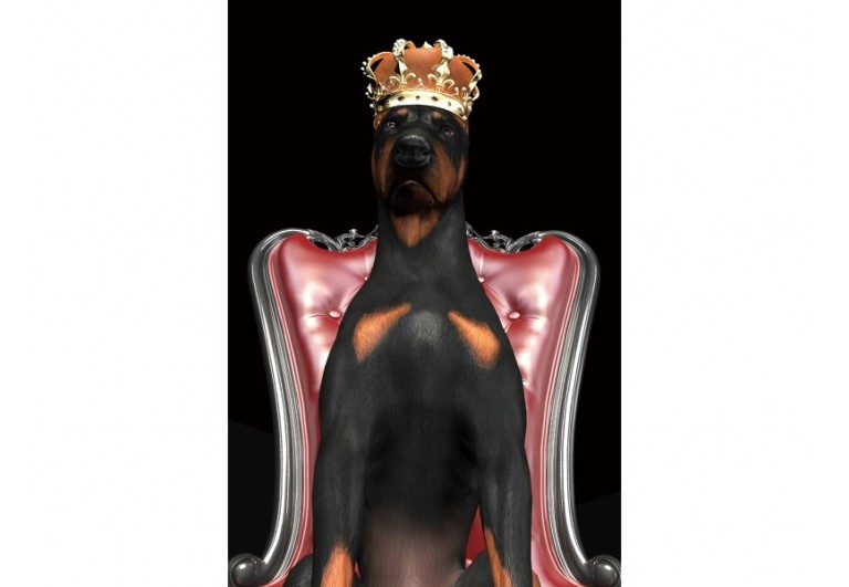 Obraz Dog in Crown