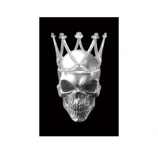 Obraz Skull II