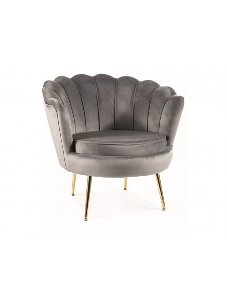 Fotel Camellia 1 Velvet Szary