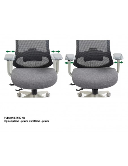 Fotel obrotowy Ergon Szary