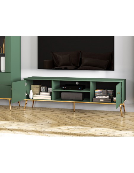 Szafka Rtv Forest 2D 05