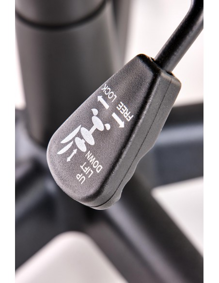 Fotel obrotowy Berkel